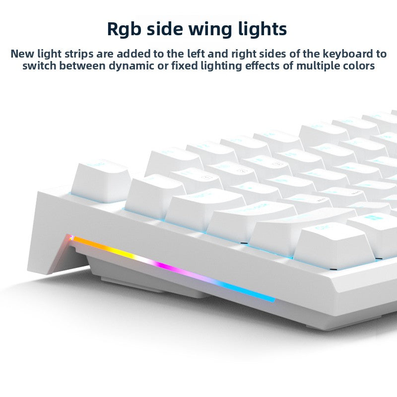 RK R87 Mechanical Keyboard - AiFeiKeycap