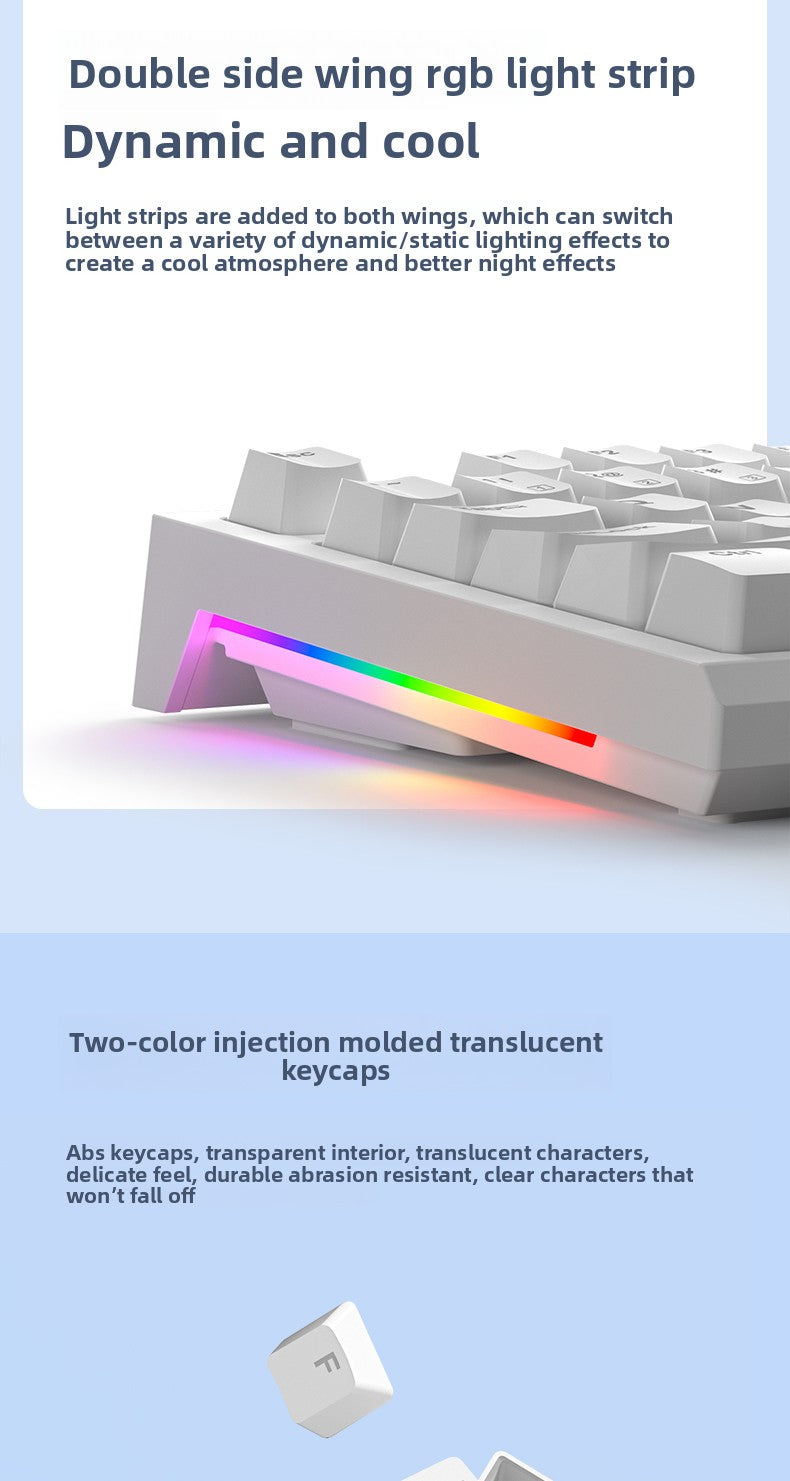 RK R87 Mechanical Keyboard - AiFeiKeycap