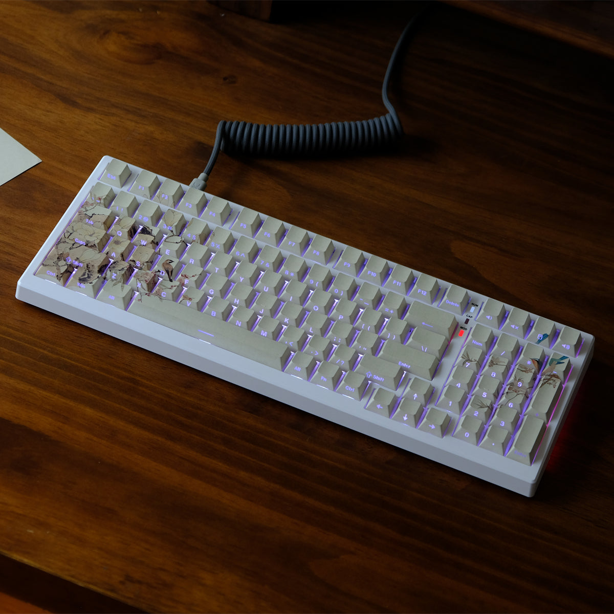 AiFei Yellow Finch PBT Cherry Keycaps - AiFeiKeycap