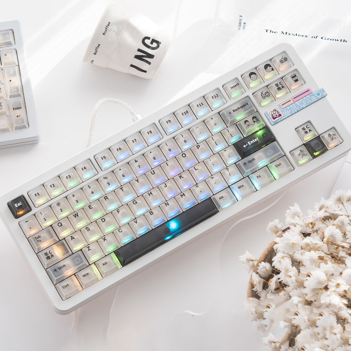 Aifei Keycap Black/White 5-Side Fog Transparent PC Cherry Set