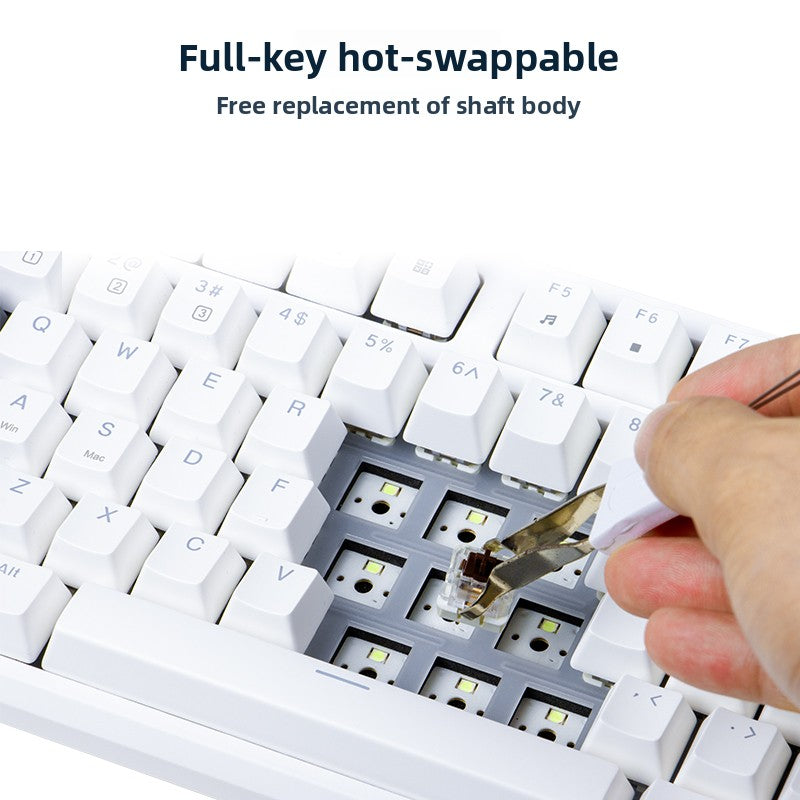 RK R87 Mechanical Keyboard - AiFeiKeycap